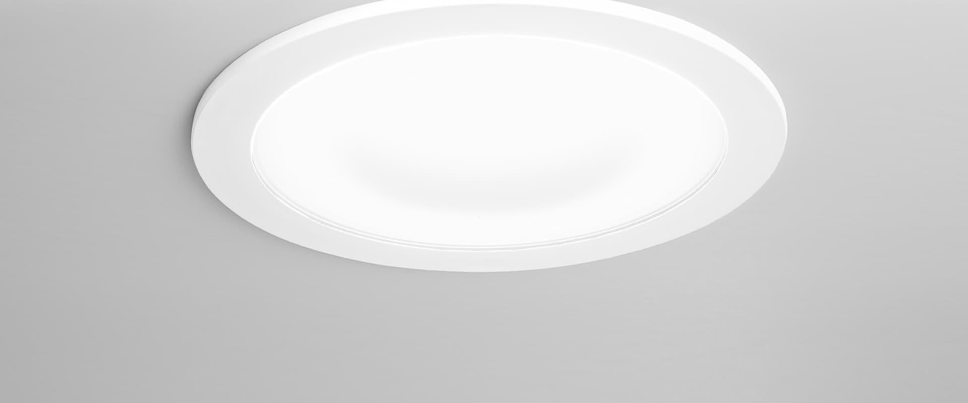 Echo 137, image 3 of 6