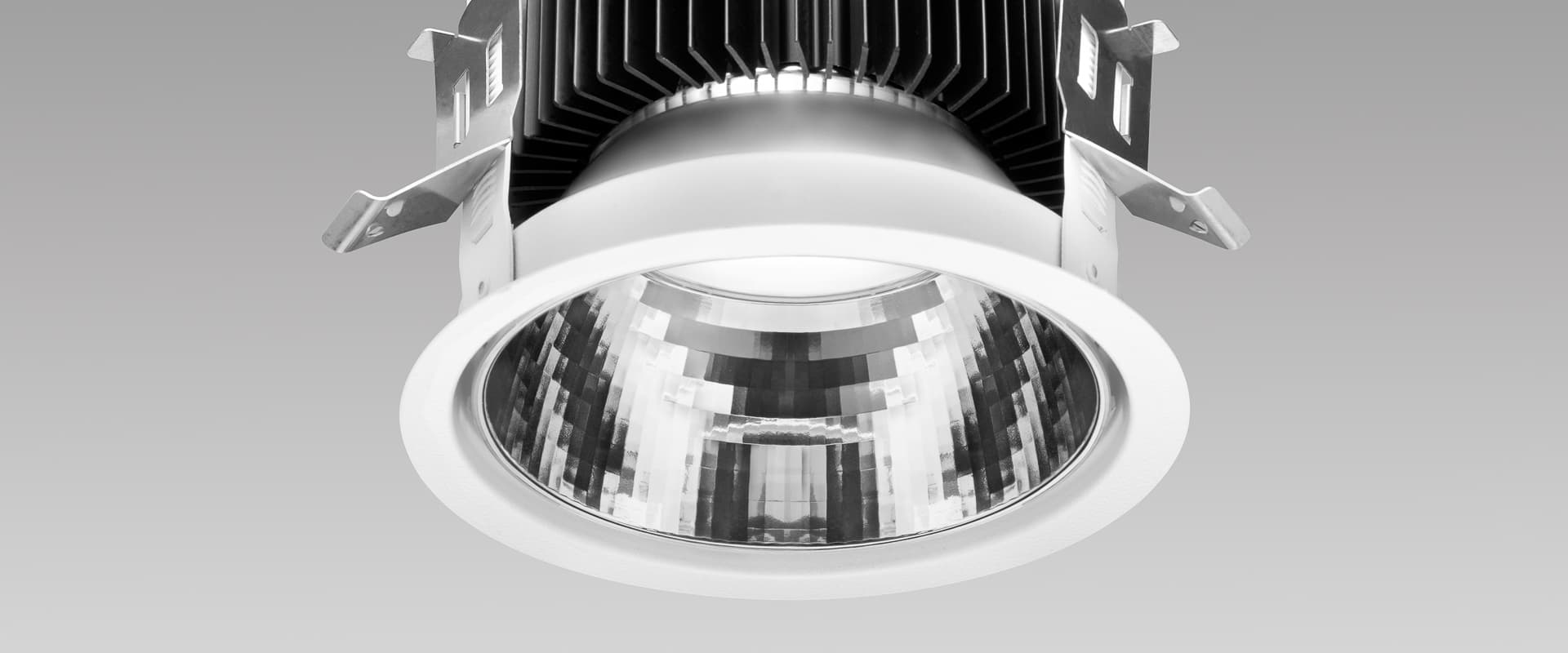 Echo 137, image 4 of 6