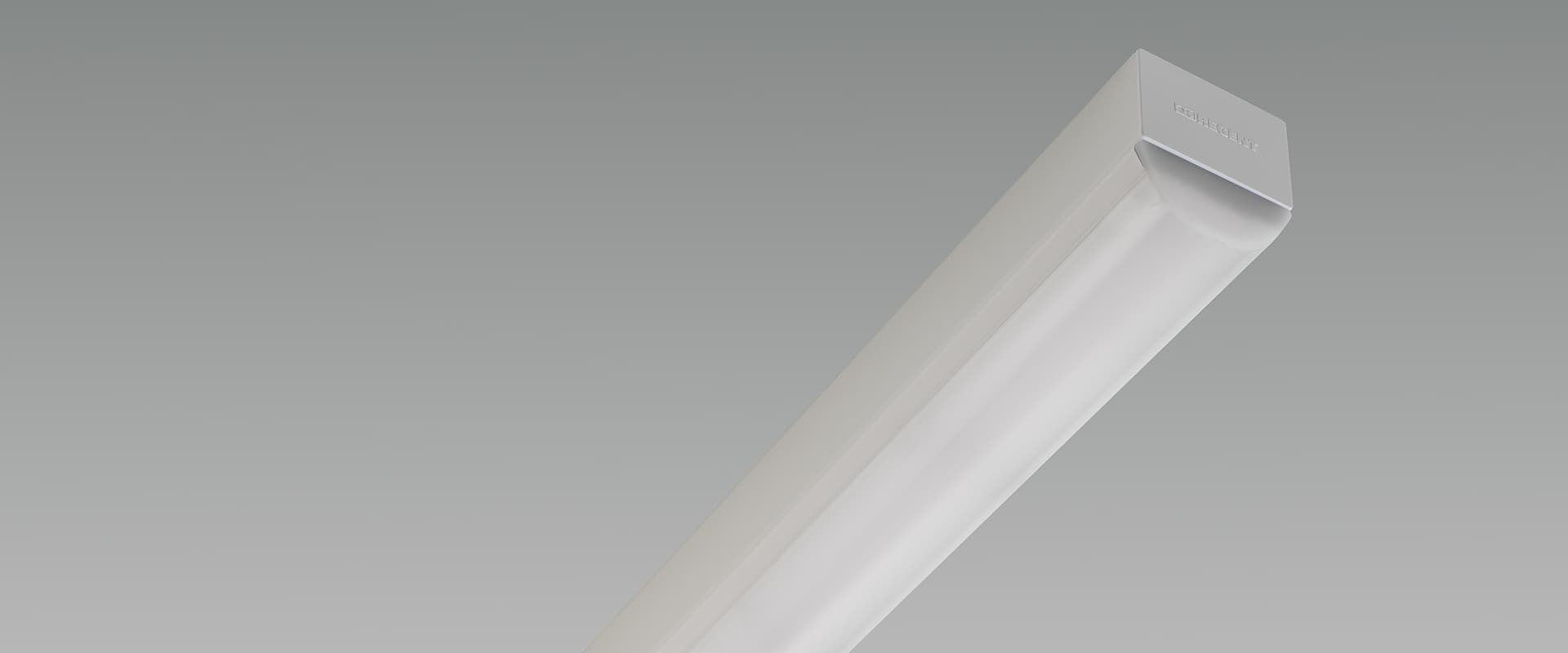 ICE Basis, immagine 1 di 1