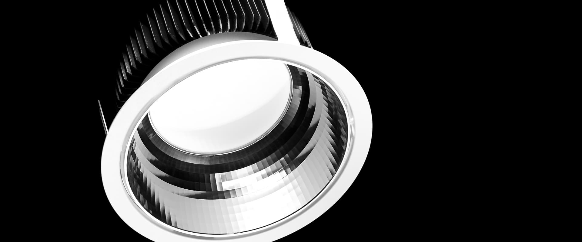 Echo 137, image 6 of 6