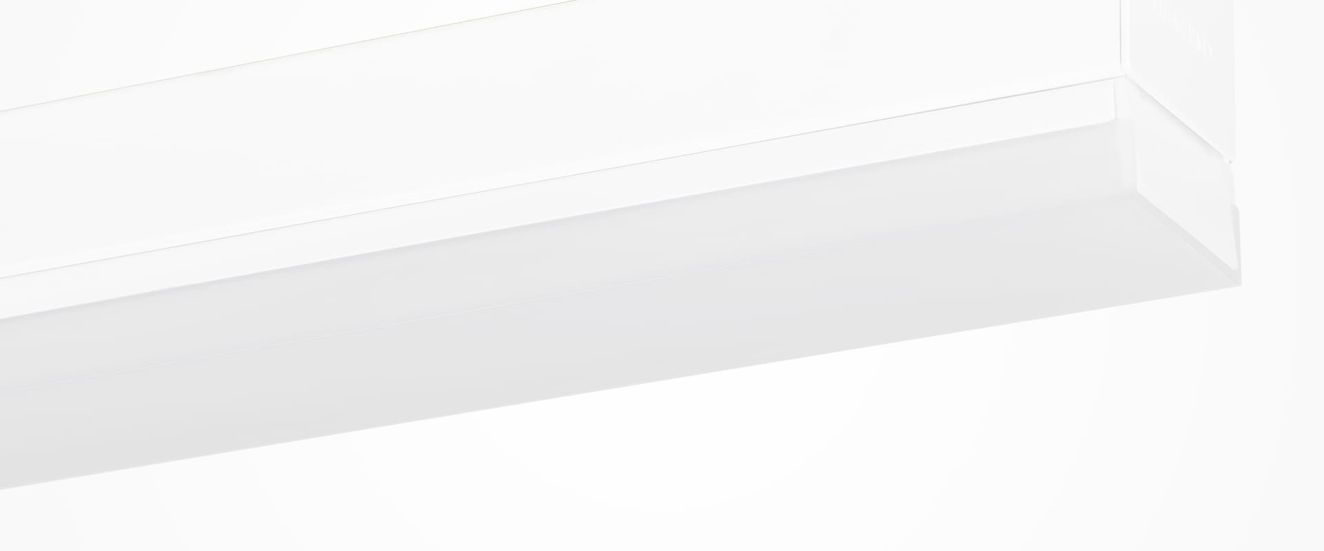 ICE, image 1 of 4