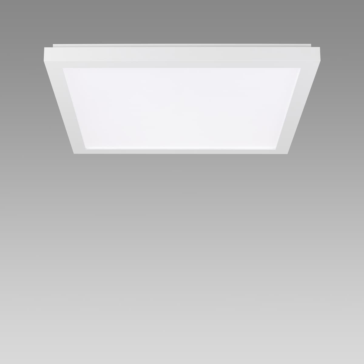 Item Office