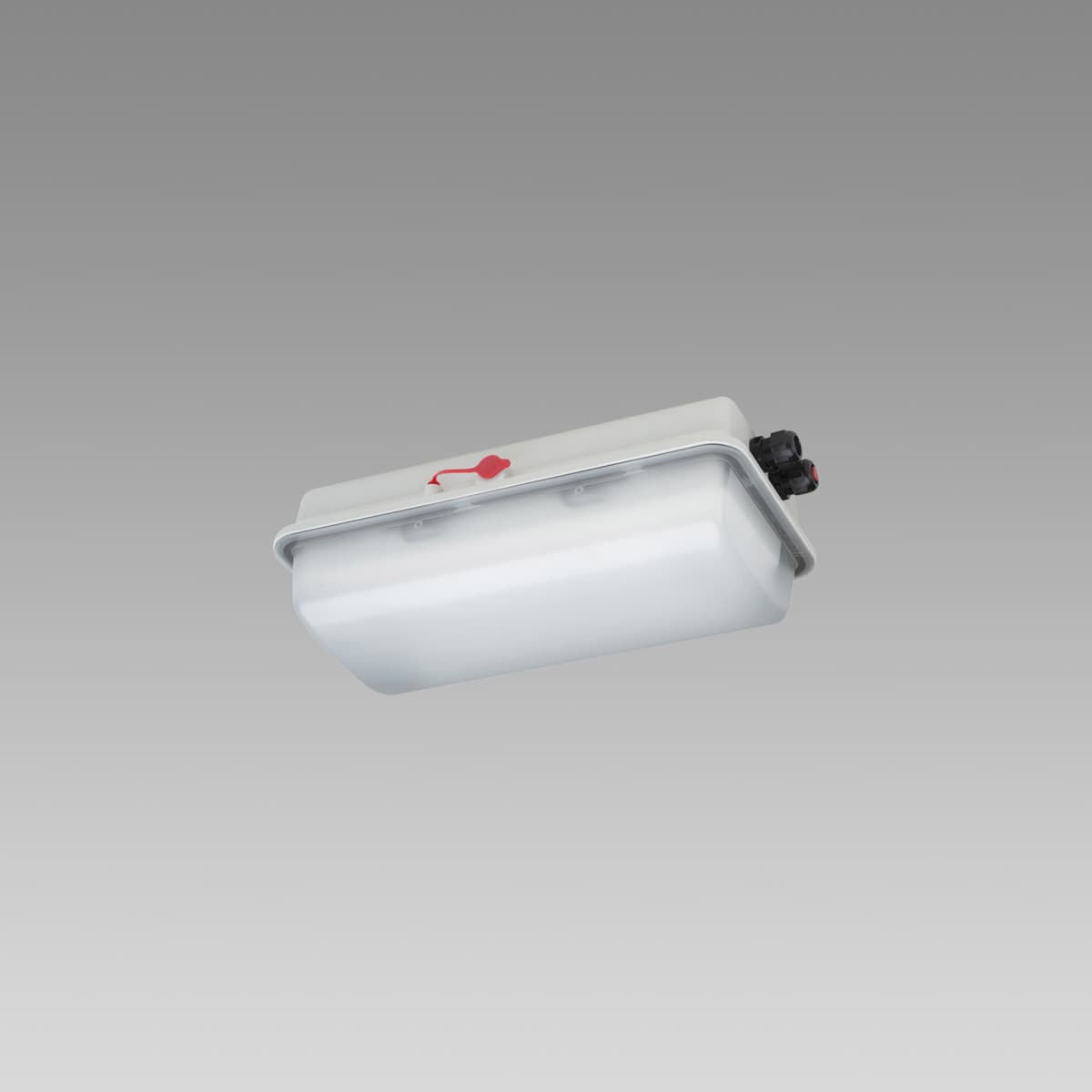 e855 LED