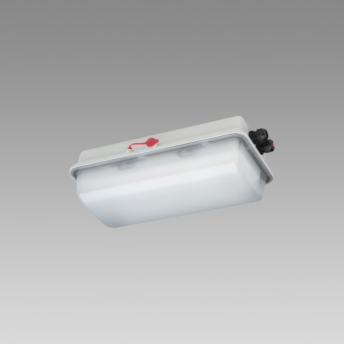 e856 LED