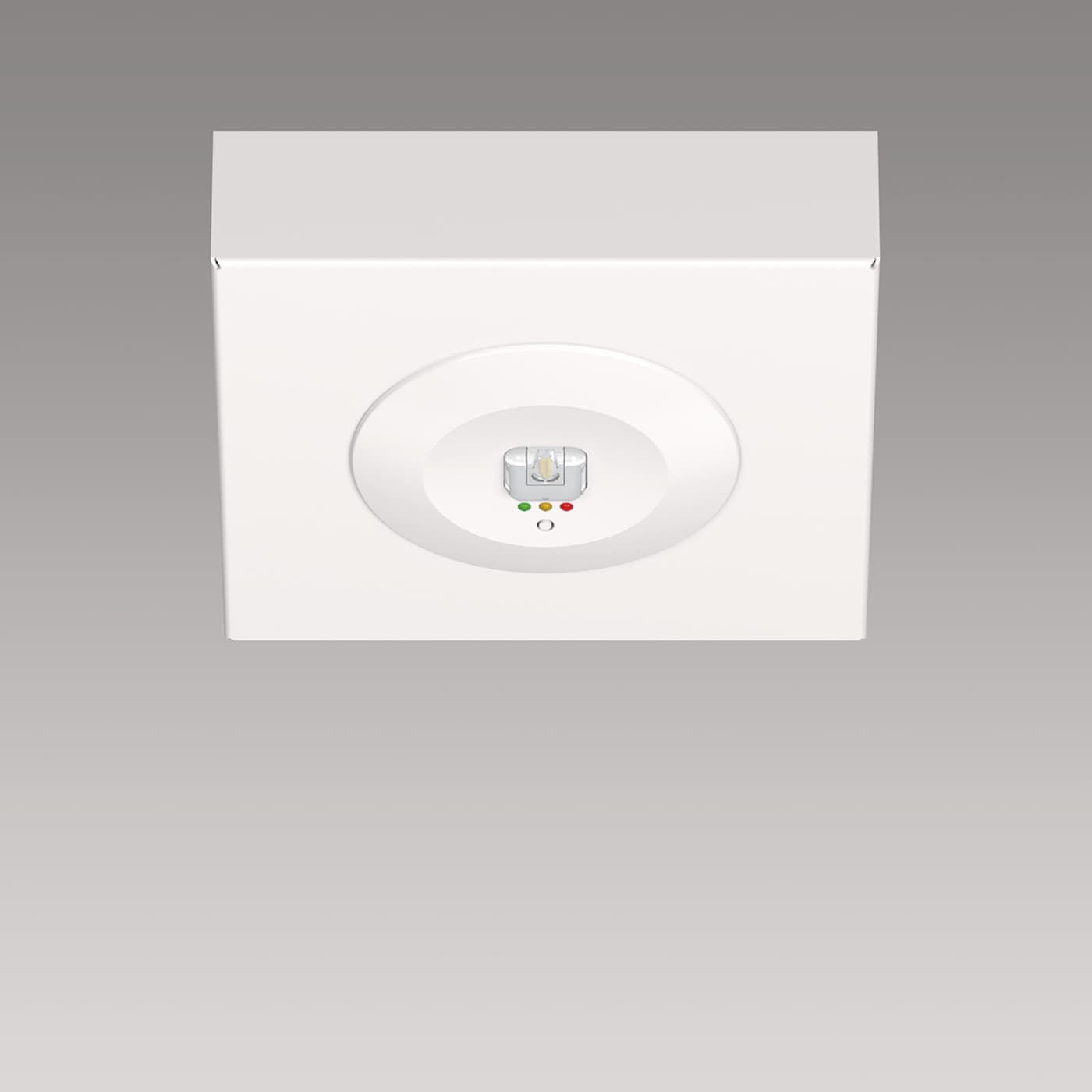 Rasp - for ceiling heights of up to 4 m