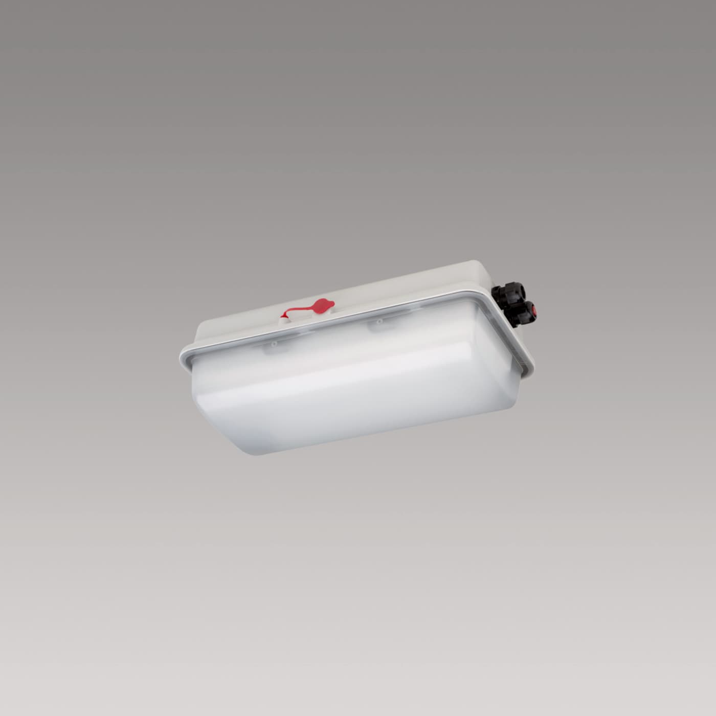 e855 LED - e855F ZB, for central supply