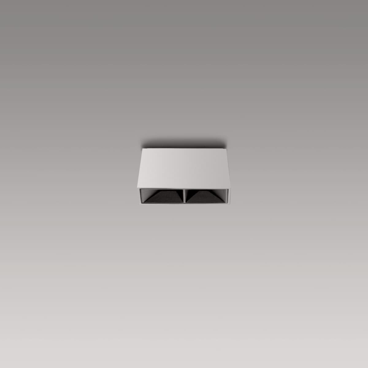Ceiling 2 LED