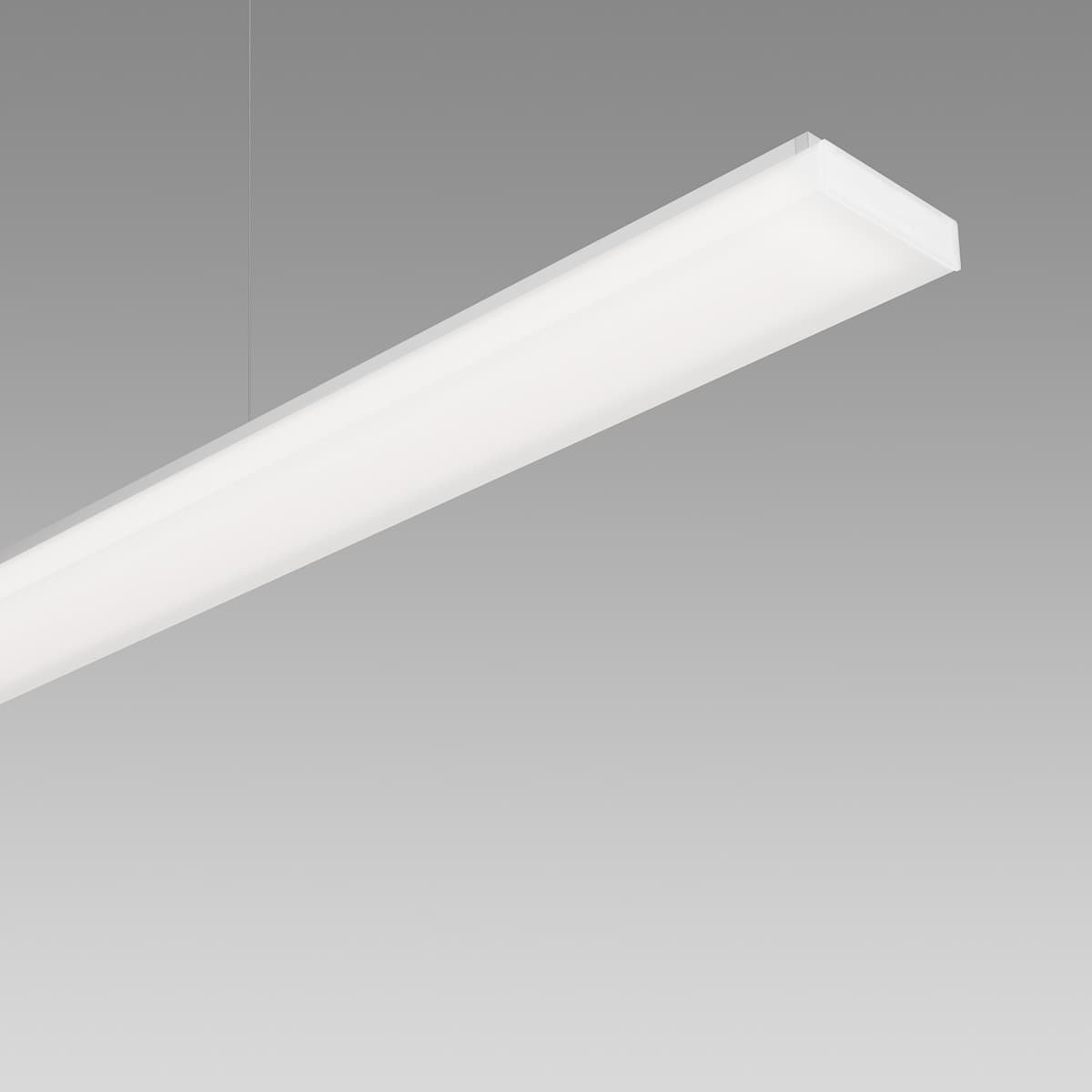 Purelite 2 2012.1645