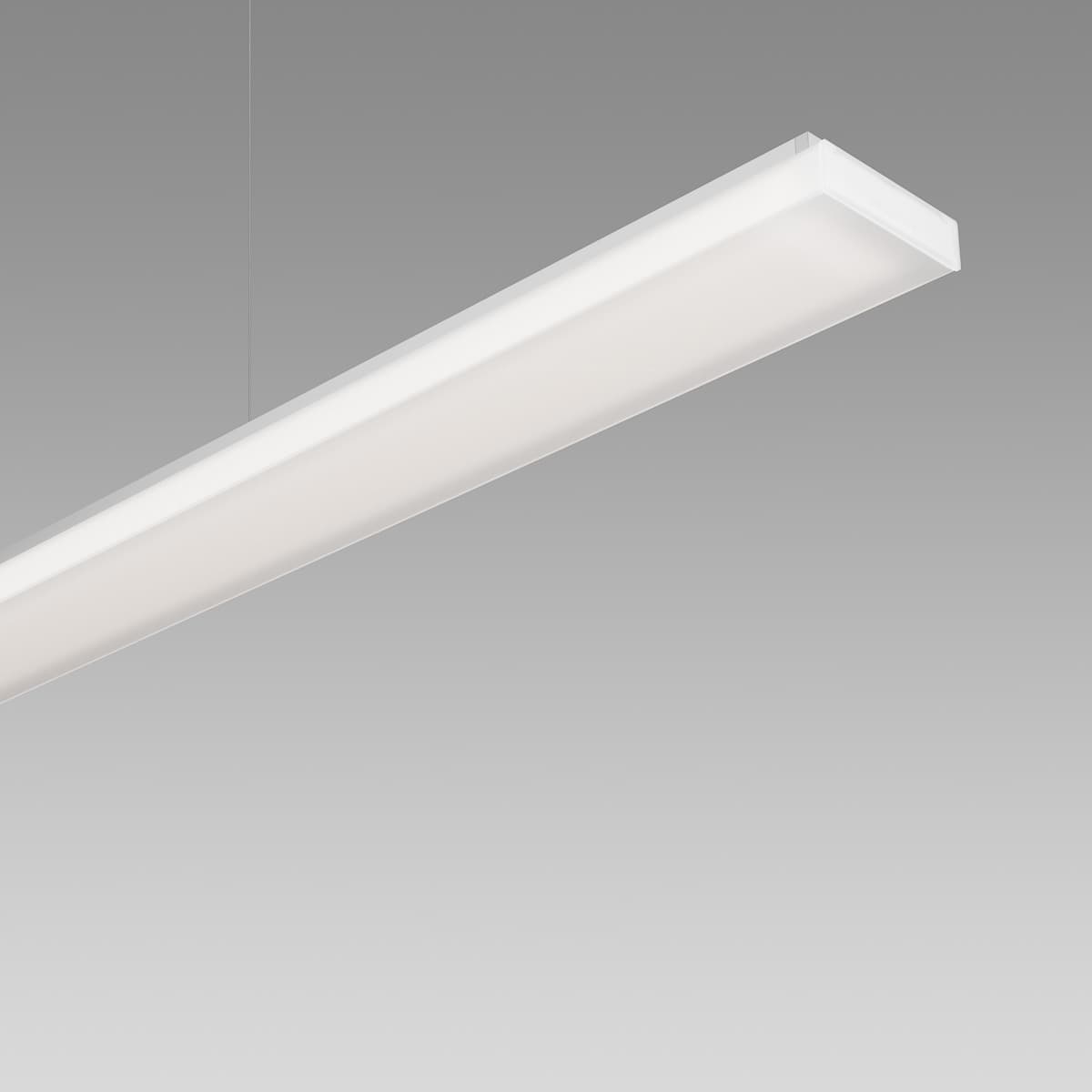 Purelite 2 Office 2012.1680